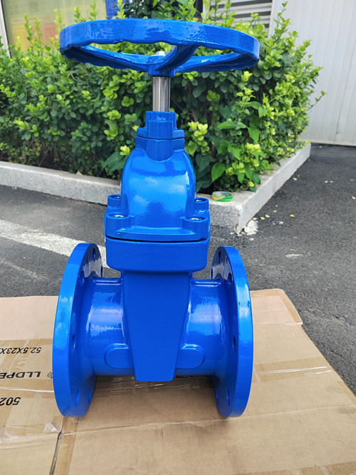 暗杆软密封闸阀DN150背面