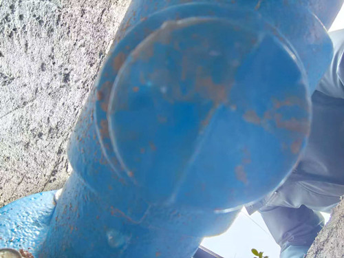 空气隔断低阻力倒流防止器