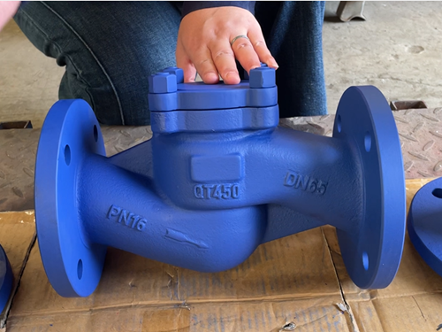 铸铁升降式止回阀正面 铸铁升降式止回阀正面