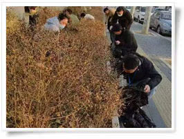 净美中国从门口开始
