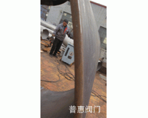 DN800自动排污过滤器组件壳体避厚